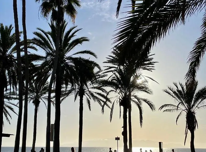 El Dorado Estrella 플라야데라스아메리카스